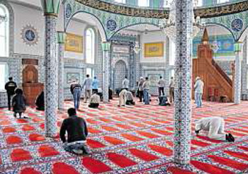 20150716_Mosche 20150716_Mosche