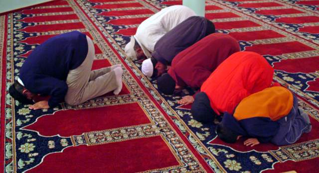 tn_20050127_40_JPG.jpg, 43kB