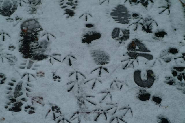 tn_20060125_03_JPG.jpg, 31kB