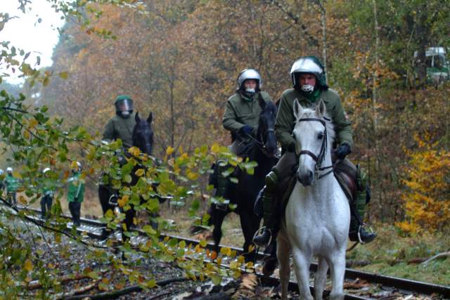 tn_2006111201_010_JPG.jpg, 50kB